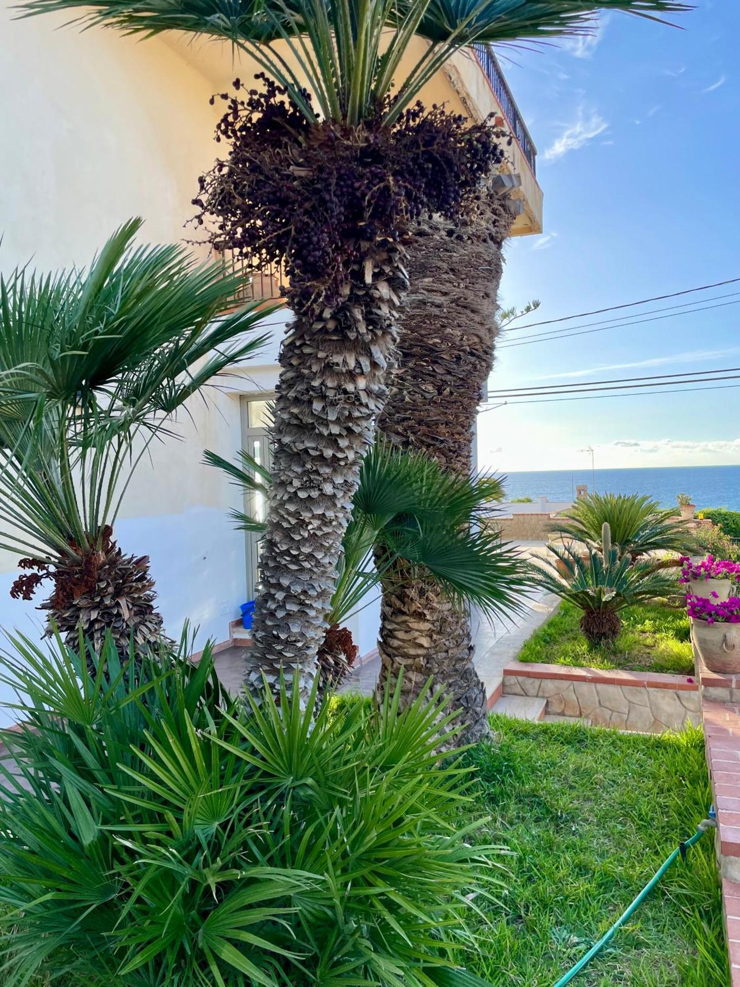 Villa Sul Mare Palazzolo Trappeto  Exterior foto
